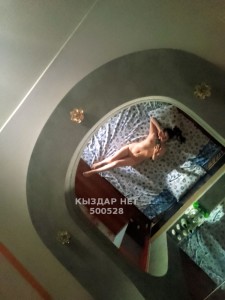Проститутка Петропавловска Девушка№500528 Вероничка Фотография №3763291