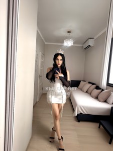Транс Астаны Транс№498156 Nihan-Приват канал Фотография №3777275