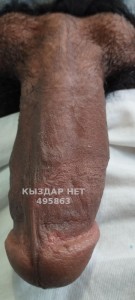 Жиголо Тараза Анкета №495863 Фотография №3738818